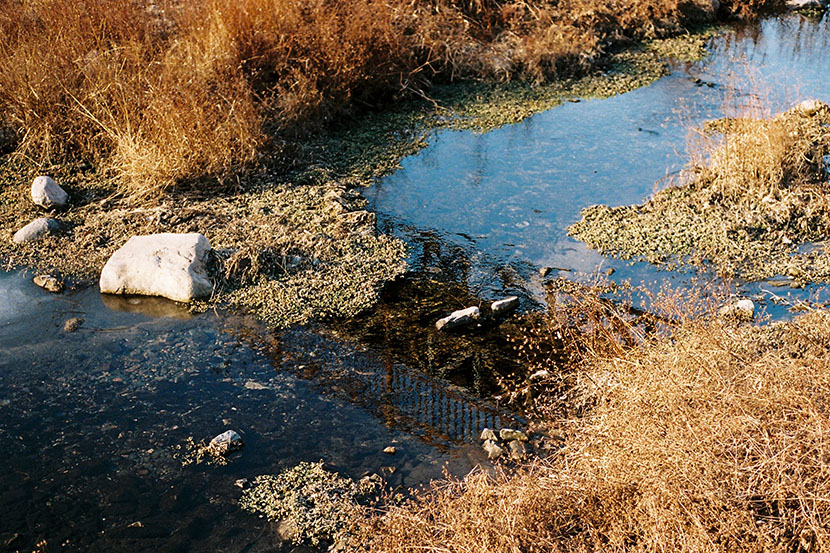 F1000003 copy