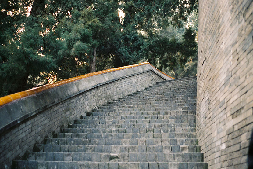 F1040032 copy