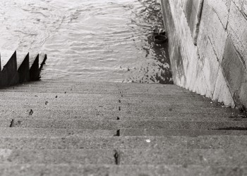 PELLICULE Janvier 2011, PARIS