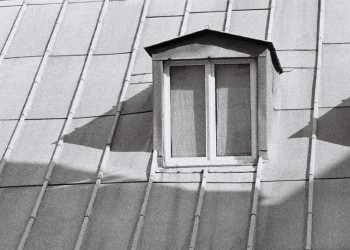 PELLICULE janvier 2014, PARIS