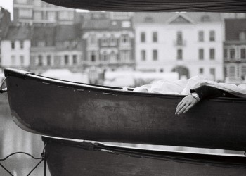 PELLICULE Septembre 2014, LILLE