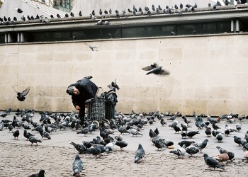 ROLL March 2015, PARIS
