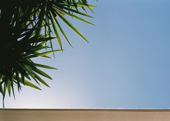 PELLICULE Aout 2016, SEVILLE